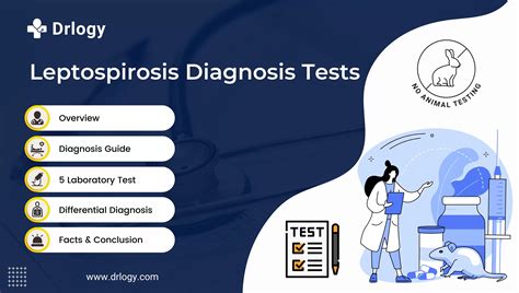 elisa test leptospirosis|leptospirosis detection methods.